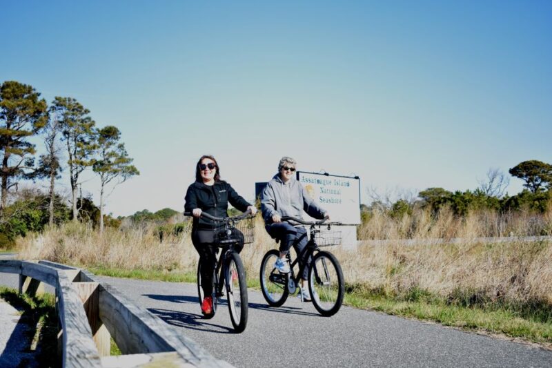 Assateague Island: Bicycle Rental from the Visitor Center - Exploring the Beaches and Marshlands