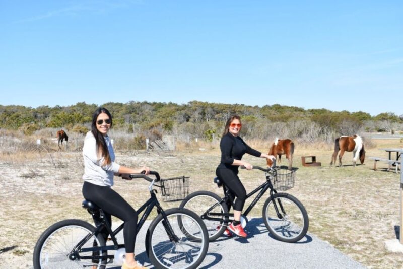 Assateague Island: Bike Rental from the Bayside Stand - Discover the Best Sights on Assateague Island by Bike