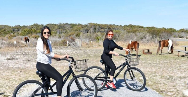 Assateague Island: Bike Rental from the Bayside Stand - The Practicalities: Meeting Point and Group Size