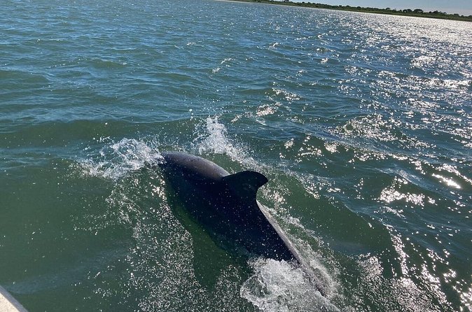 Assateague Island Cruise Departs from Ocean Pines - The Experience Provider: Blue Bimini