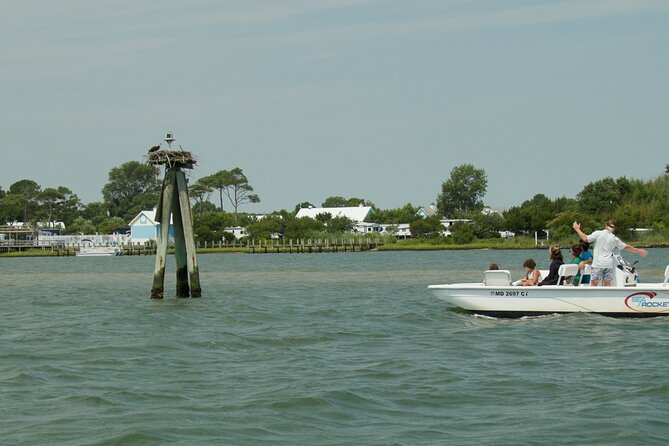Assateague Island Private Cruise Tour - Discover the Assateague Island Private Cruise Tour in Ocean City