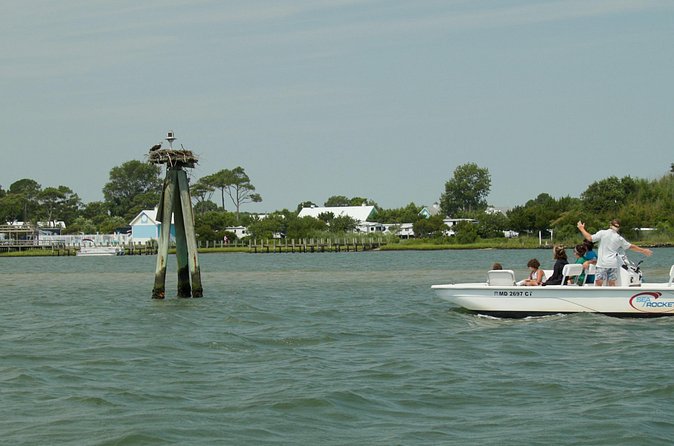Assateague Island Private Cruise Tour - Logistics and Accessibility