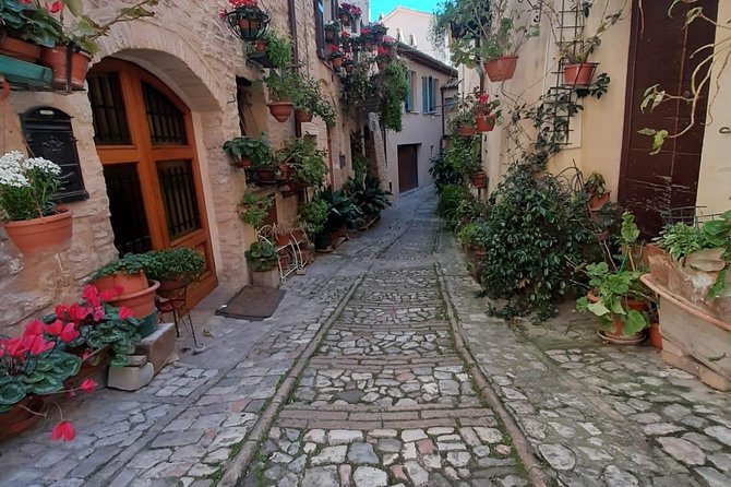 Assisi and Spello Full Day Private Walking Tour - Inside the Basilica of Saint Francis: Art and Architecture