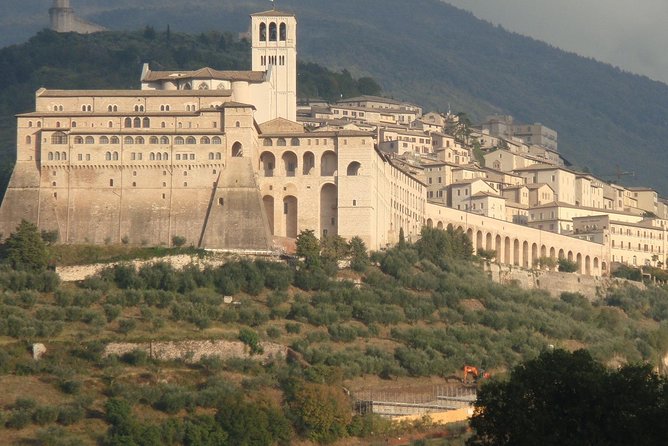 Assisi, City Highlights and Basilica of St. Francis tour - The Guide and Tour Experience