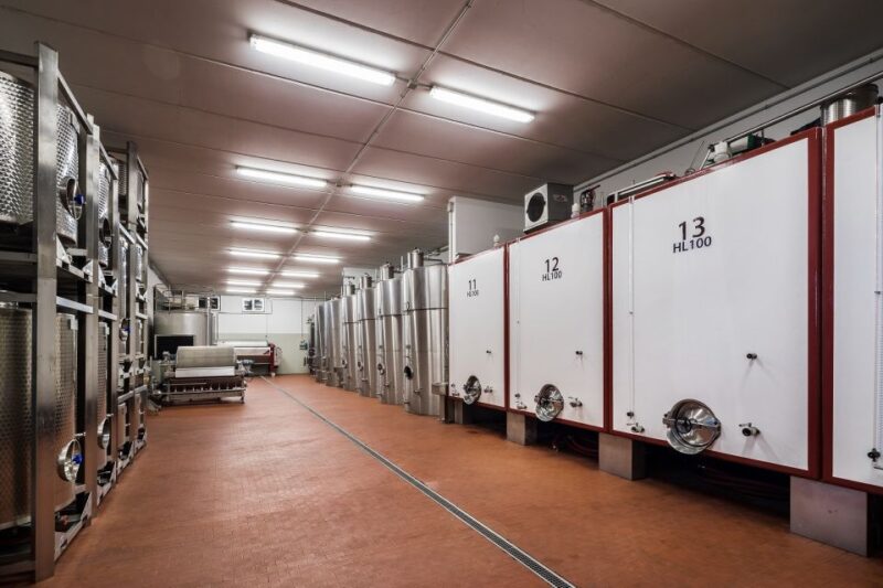 Assisi: Organic Winery Tour with Tastings & Typical Food - The Experience of the Tour Guides