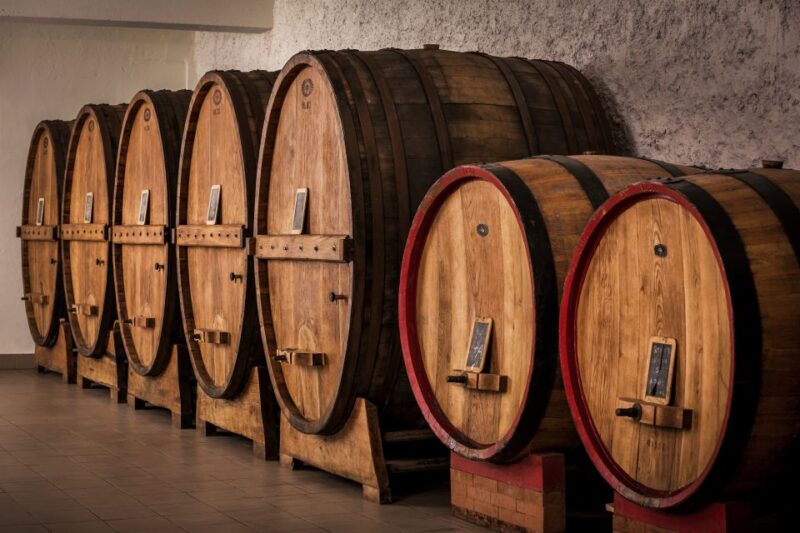 Assisi: Organic Winery Tour with Tastings & Typical Food - Practical Details and Accessibility