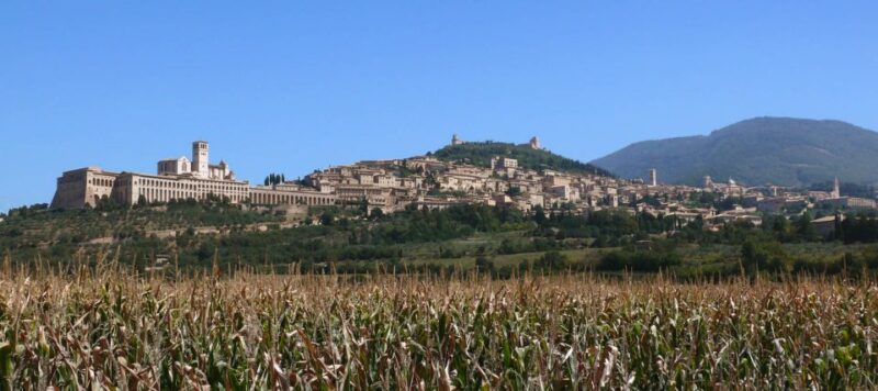 Assisi: Walking Tour with St. Francis Basilica Visit - Key Points