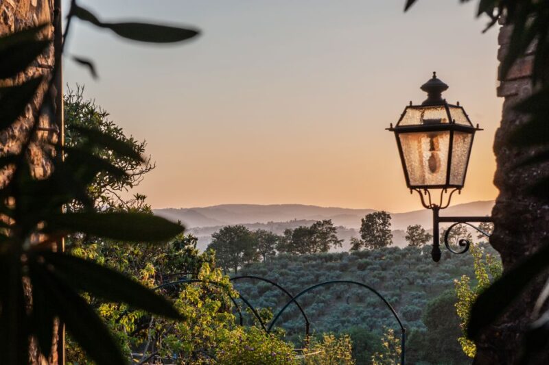Assisi: Walking Tour with St. Francis Basilica Visit - Assisi: Walking Tour with St. Francis Basilica Visit – A Practical Choice