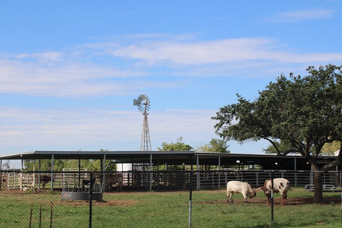 Astroville Round-Trip Shuttle Transportation to NASA Space Center - Limitations and Important Details