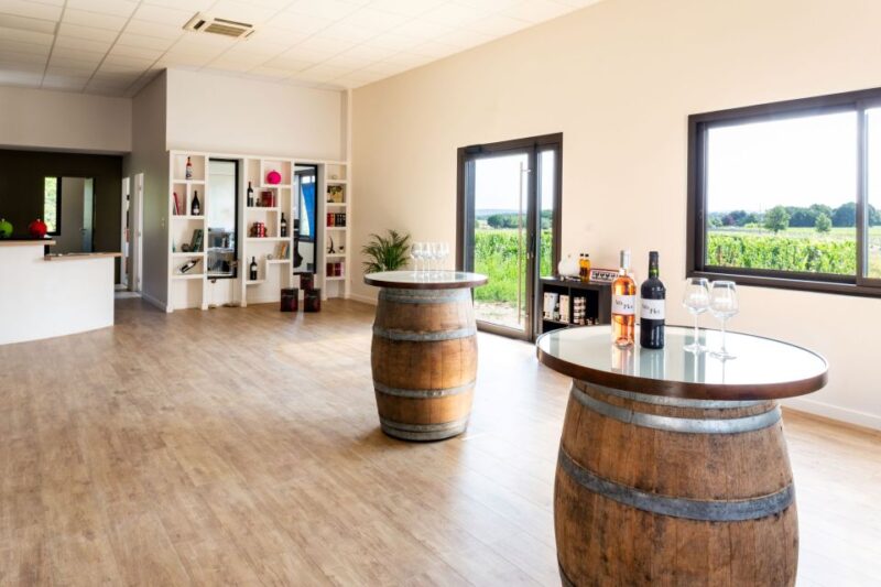 At the gates of Toulouse: from the vine to the cellar - Explore the Vine and Cellar at a Family Estate Near Toulouse