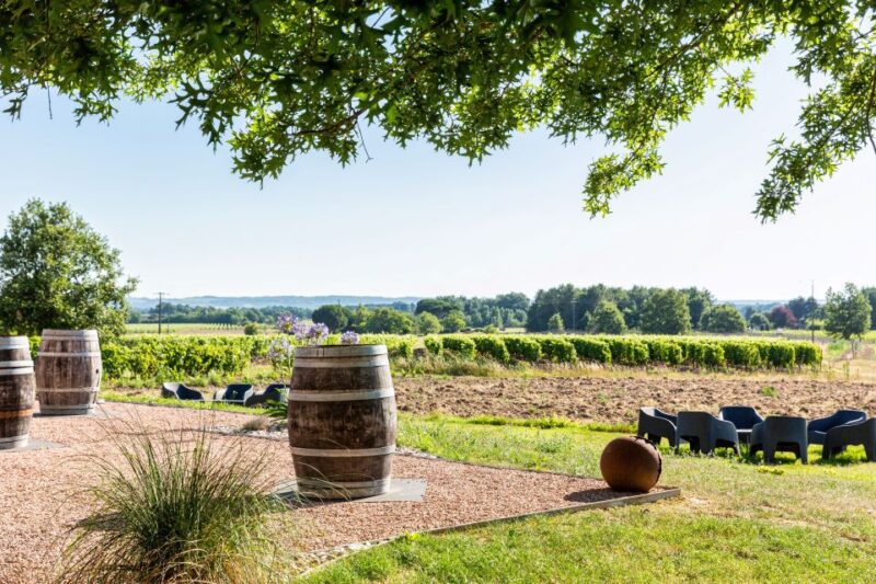 At the gates of Toulouse: from the vine to the cellar - Visiting the Vineyard and Breeding Cellar