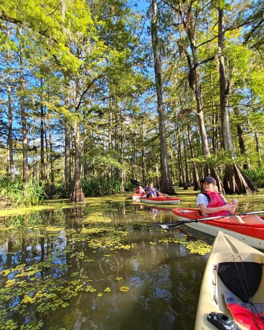 Atchafalaya Basin: 2.5 Hr. Guided Kayak Tour - Clear Details on What the Tour Includes and Excludes