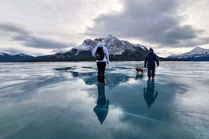 Athabasca Falls/Abraham,Sunwapta Falls,Icefield & Peyto Lake Tour - The Experience of a Small Group