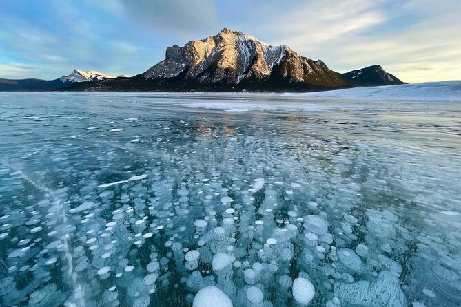 Athabasca Falls/Abraham,Sunwapta Falls,Icefield & Peyto Lake Tour - Frequently Asked Questions