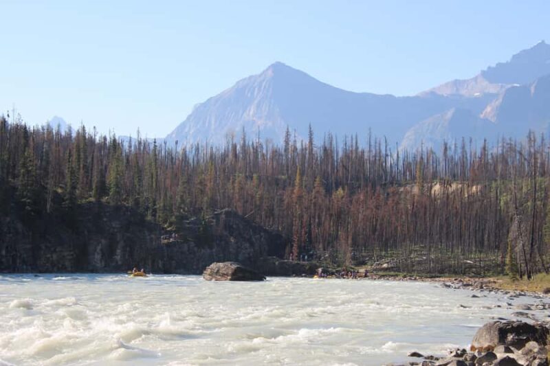 Athabasca Falls: Class 2 White Water Rafting Adventure - The Experience of Guided Rafting in Jasper