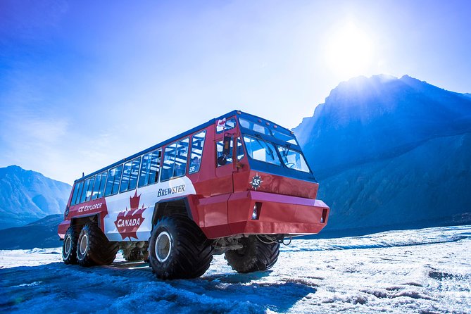 Athabasca Glacier Snow Trip from Banff - Picnic Lunch with Scenic Views