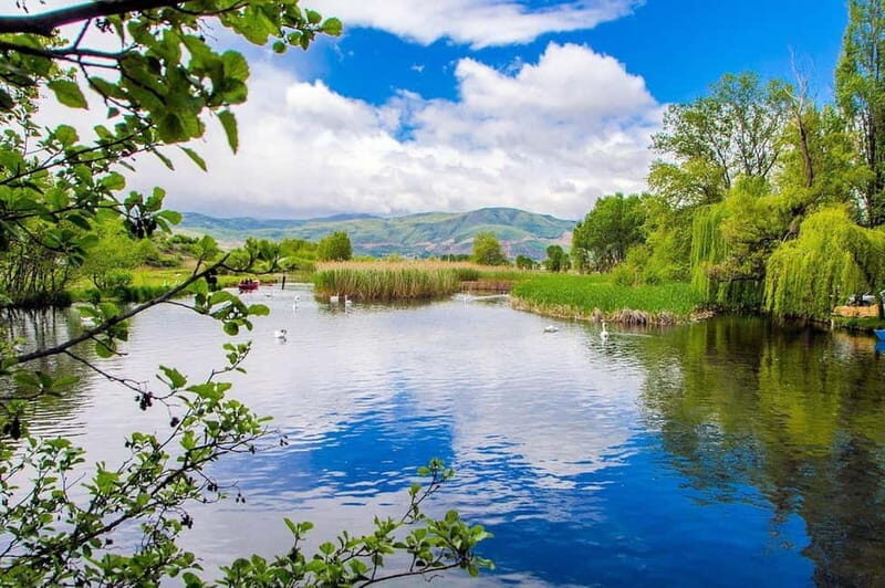 Athens: 14-Day Mediterranean Marvels Athens to Rome Tour - Practical Logistics and Tour Details