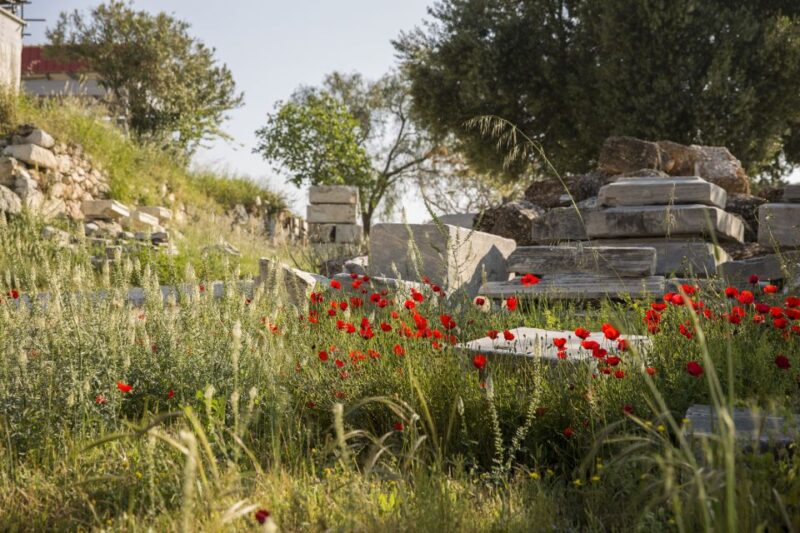 Athens: Acropolis Beat the Heat Guided Tour - Summary of What Sets This Tour Apart