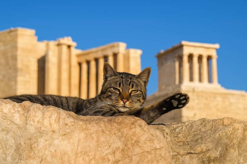Athens: Acropolis Guided Tour with Skip-The-Line Tickets - Key Points