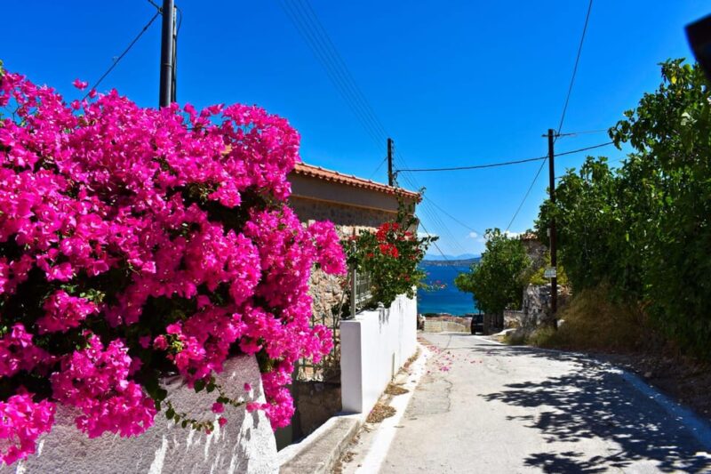 Athens: Agistri, Metopi & Aegina Cruise with Meals & Drinks - Departure from Marina Zeas and Transfer Options