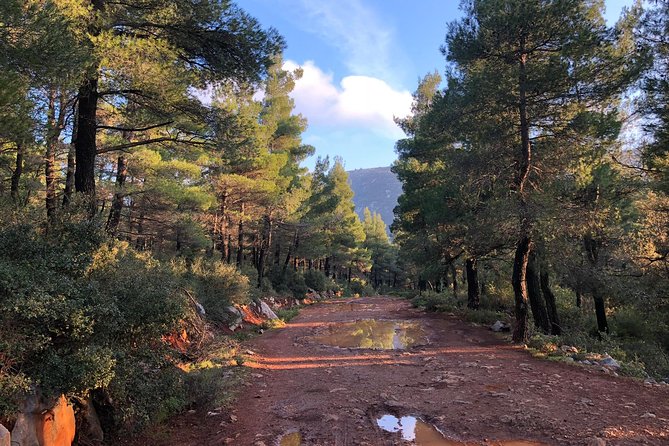 Athens Backcountry Shore Excursion to Parnitha Mountain - Key Points