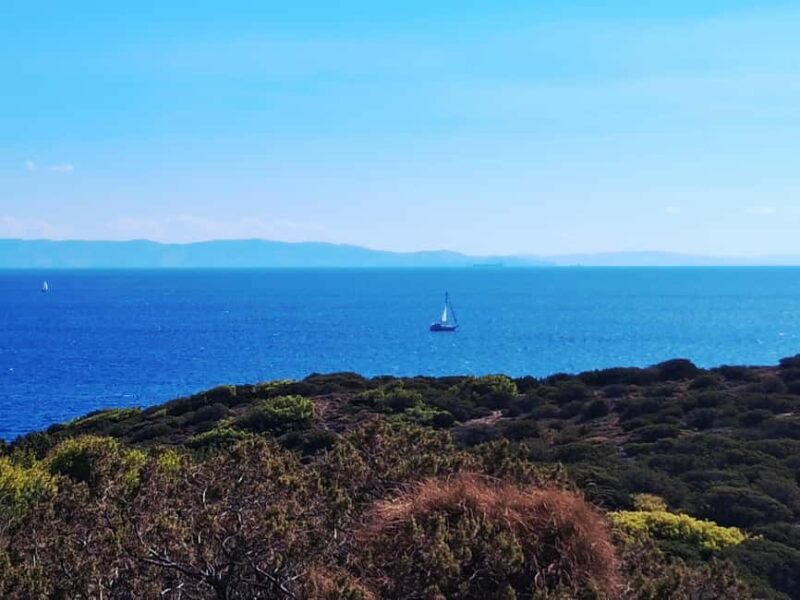 Athens: Cape Sounio & Temlpe Poseidon Swimming & Sunset Tour - Practical Details: Logistics and Flexibility