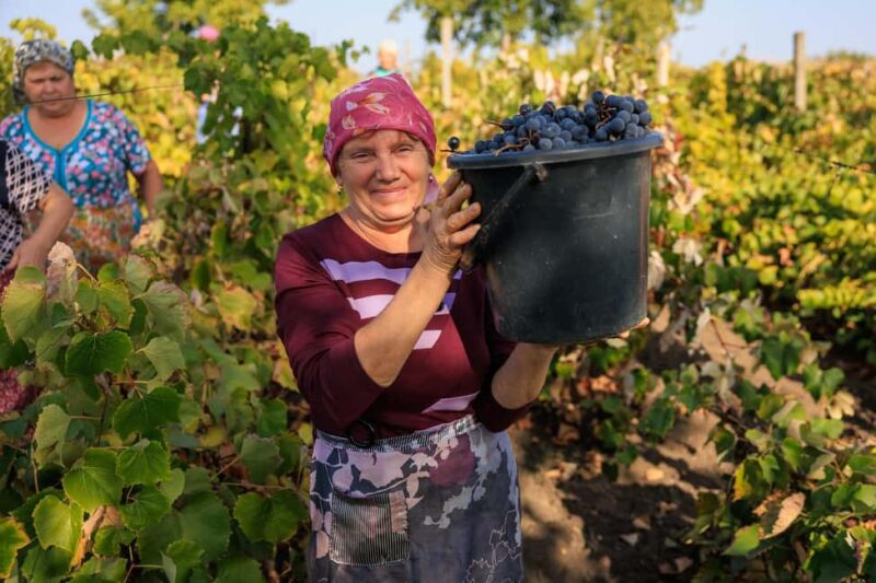 Athens: Cape Sounion Sunset and Wine Tasting Tour - Discover Attica’s Flavors and Legends on a Sunset Tour from Athens