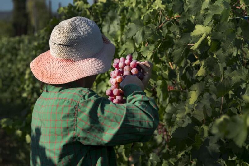 Athens: Cape Sounion Sunset and Wine Tasting Tour - Exploring the Iconic Temple of Poseidon at Cape Sounion