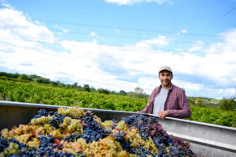 Athens: Cape Sounion Sunset and Wine Tasting Tour - Comparing This Tour to Similar Experiences