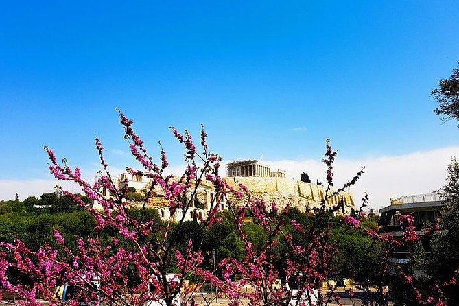 Athens city private tour - Witnessing Greek Traditions: The Tomb of the Unknown Soldier