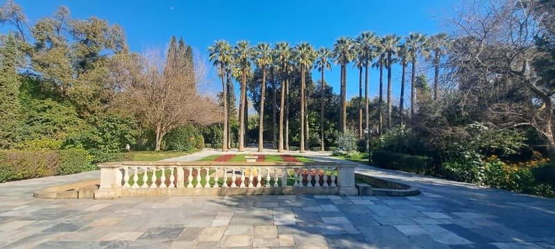 Athens Fun Day with a Local (Walking tour) - Key Points