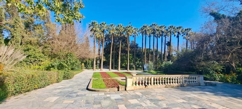 Athens Fun Day with a Local (Walking tour) - Visiting the Roman Agora and the Tower of the Winds