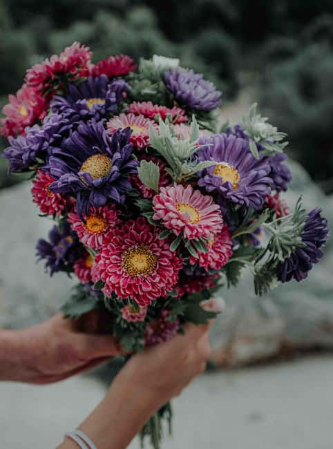 Athens Golden Hour Proposal Package with Photos and Video - Why Choose This Proposal Package in Athens?