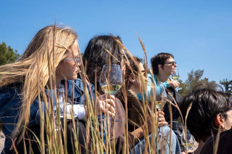 Athens: Greek Wine Tasting and Picnic on Philopappou Hill - Tasting Four Native Greek Wines