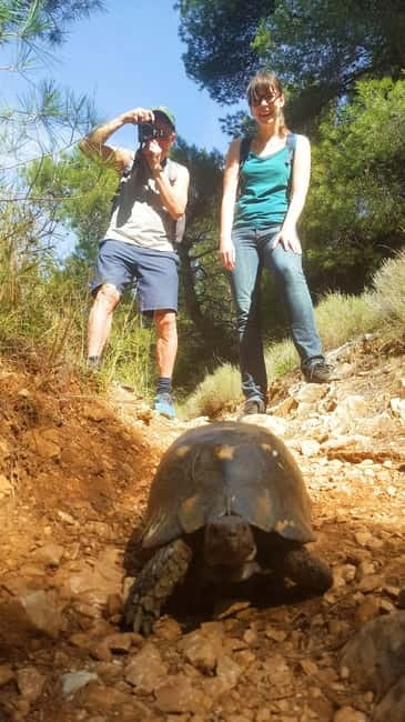 Athens Historical Hiking with Lunch - Uncovering the Secrets of a Mysterious Aqueduct