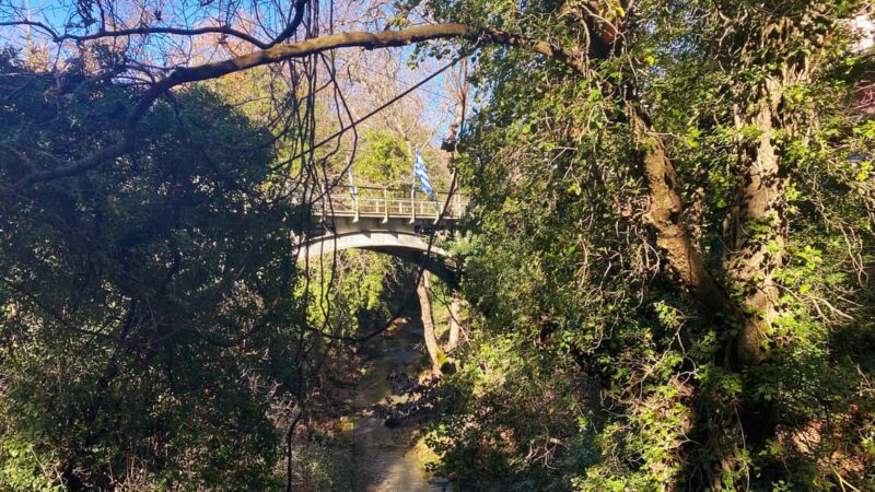 Athens: Kalavryta UNESCO Global Geopark & the Cave of Lakes - Visiting the UNESCO Chelmos-Vouraikos Geopark and Planitero Forest