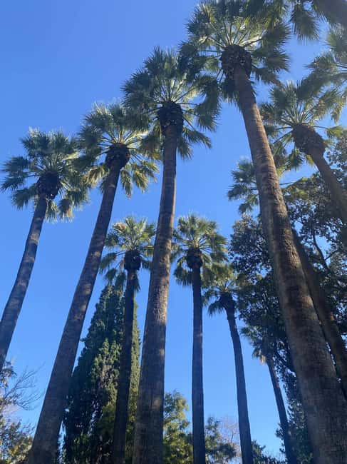 Athens Lycabettus Sunset tour - Top-Notch Panorama and Café at Lycabettus Hill