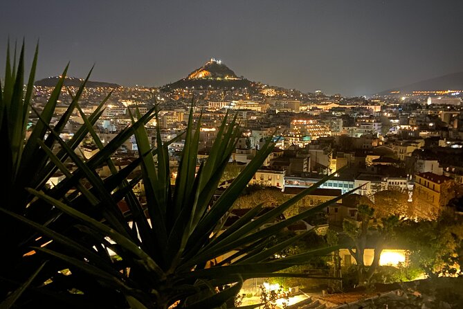 Athens Night Walk and Drinks - Why This Tour Fits Certain Travelers Best
