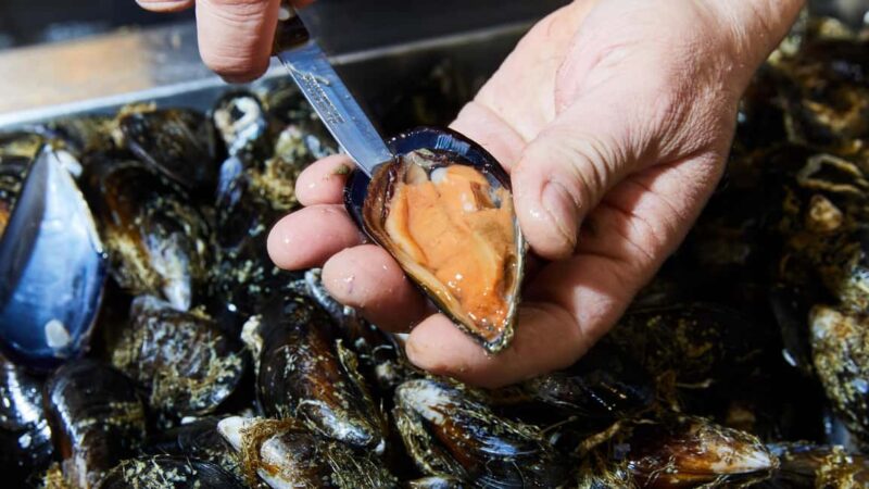 Athens Off the Beaten Path Neighborhoods Guided Tour & Food Tasting - Taking in the Local Market Scene