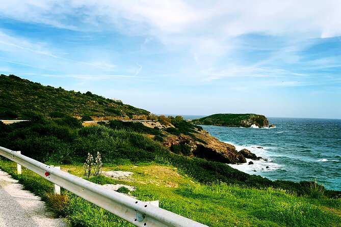 ATHENS OLIVE ESTATE - Olive Oil Workshop with Farm-to-Fork Lunch - Explore the Heart of Greek Olive Oil at Athens Olive Estate