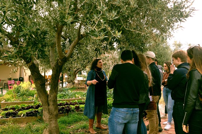 ATHENS OLIVE ESTATE - Olive Oil Workshop with Farm-to-Fork Lunch - Final Thoughts on the Athens Olive Estate Tour