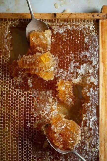 Athens: Premium Greek Honey Tasting - Athens: Premium Greek Honey Tasting – A Sweet Dive into Greece’s Honey Heritage