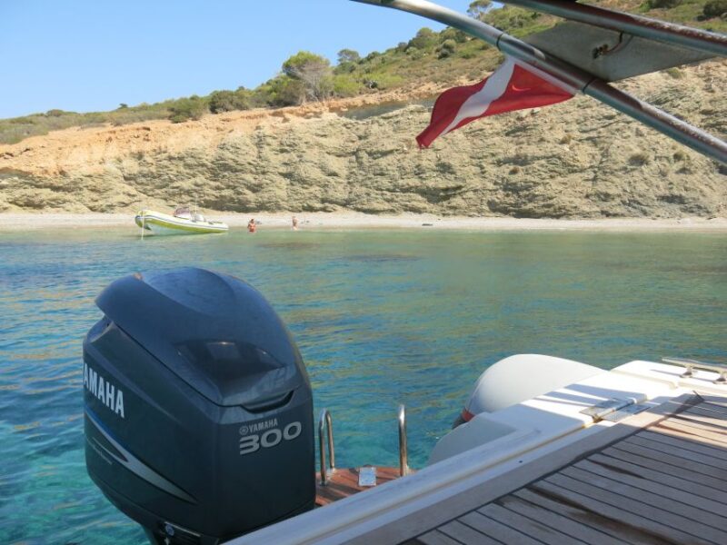 Athens: Private Cruise with Snorkeling and Swimming - Ideal Guests for This Private Cruise