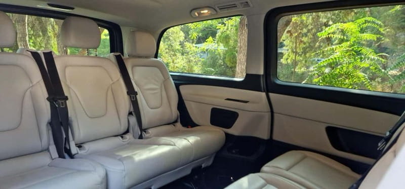 Athens Private Full-Day Licensed Guided Exclusive Tour - Discovering the Charm of Plaka and Enjoying Free Time