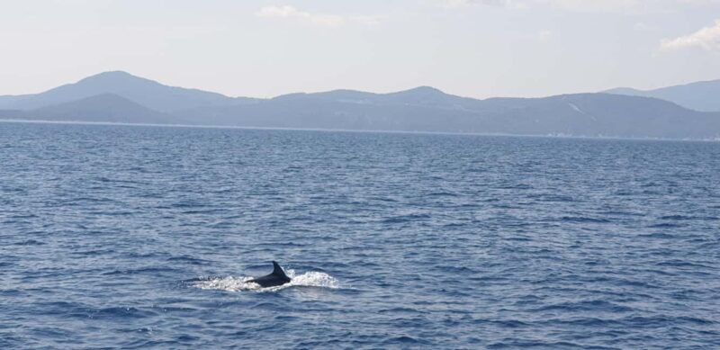 Athens Riviera Private Catamaran Cruise with Meal and Drinks - The Modern Catamaran: Comfort and Safety