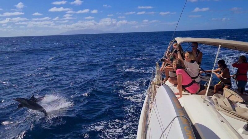 ATHENS SAILING & GASTRONOMY MORNING CRUISE ALL INCLUSIVE - Lunch at Fleves: A 2-Hour Swim and Feast