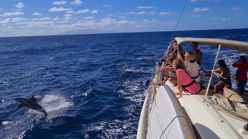 Athens Sailing & Gastronomy Sunset Cruise All inclusive - Water Toys and SUP Boards for Active Fun