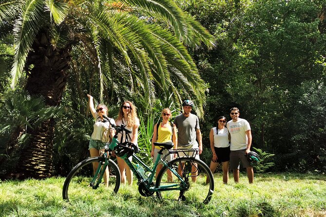 Athens Scenic Bike Tour with an Electric or a Regular Bike - Who Will Love This Bike Tour in Athens?