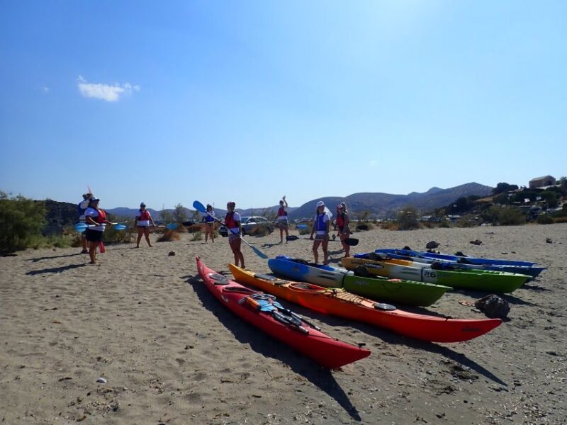 Athens: Sea Kayaking Adventure on the South/East Coast - The Experience of the Guides and Environmental Knowledge