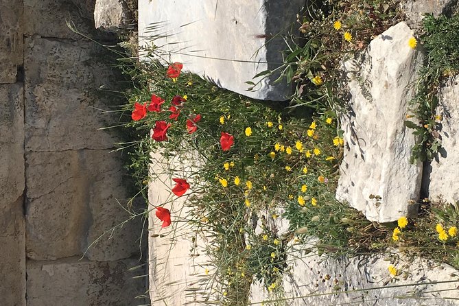 Athens Shore Excursion: Private City Sightseeing and Acropolis Tour - The Tomb of the Unknown Soldier in Syntagma Square